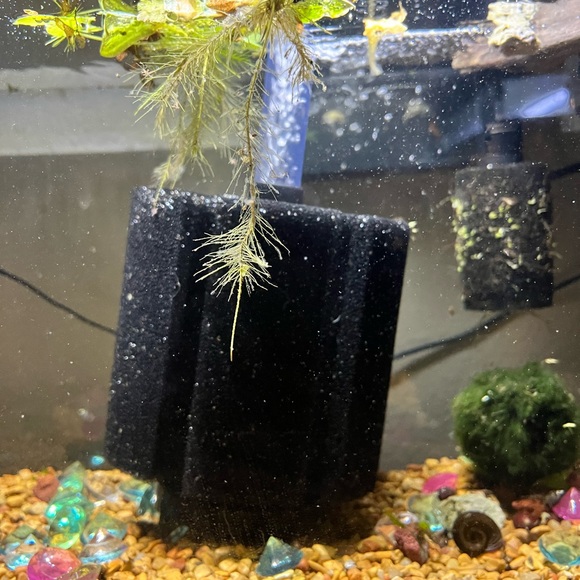 Extra Large XY-380 Bio Sponge Filter - Picture 3 of 3